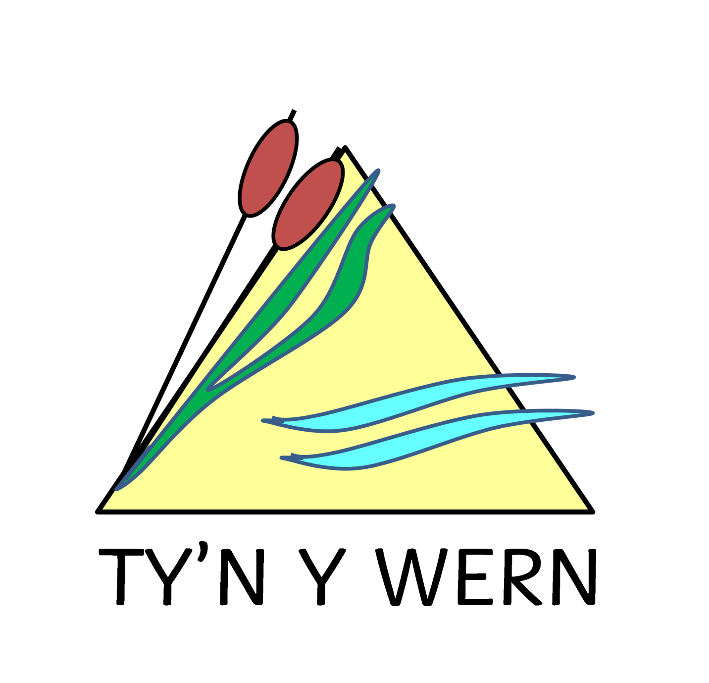 Tyn y Wern Primary